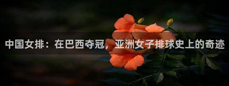 中国女排：在巴西夺冠，亚洲女子排球史上的奇迹