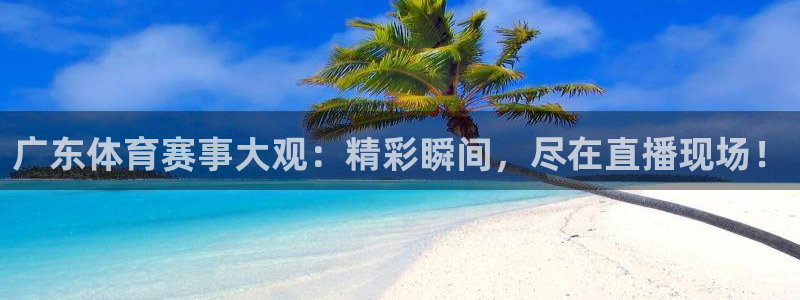 广东体育赛事大观：精彩瞬间，尽在直播现场！