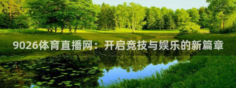 9026体育直播网：开启竞技与娱乐的新篇章