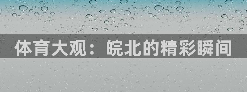 体育大观：皖北的精彩瞬间