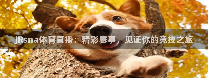 JRsna体育直播：精彩赛事，见证你的竞技之旅