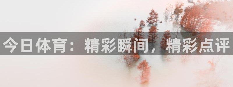 今日体育：精彩瞬间，精彩点评