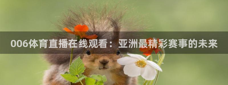 006体育直播在线观看：亚洲最精彩赛事的未来