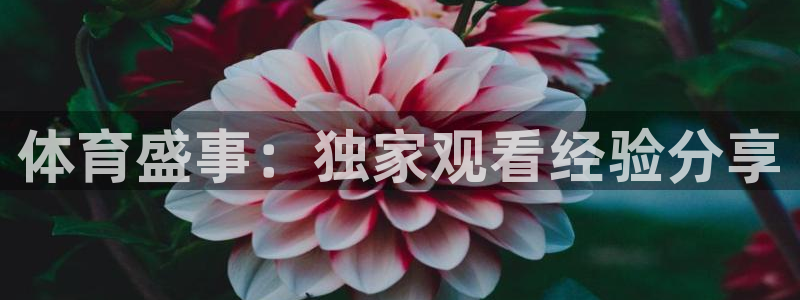 体育盛事：独家观看经验分享