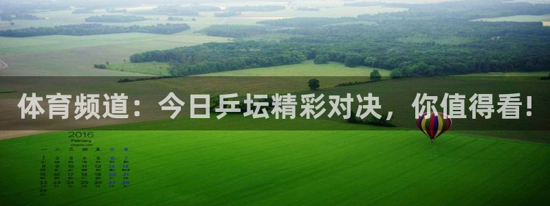 体育频道：今日乒坛精彩对决，你值得看!