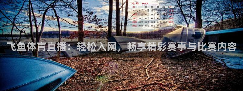 飞鱼体育直播：轻松入网，畅享精彩赛事与比赛内容