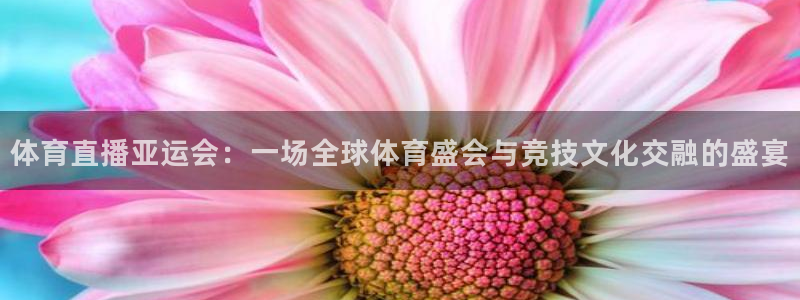 体育直播亚运会：一场全球体育盛会与竞技文化交融的盛宴