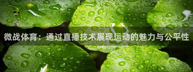 微战体育：通过直播技术展现运动的魅力与公平性