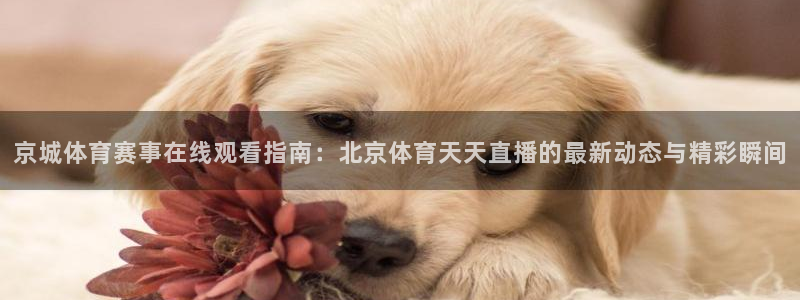 京城体育赛事在线观看指南：北京体育天天直播的最新动态与精彩瞬间