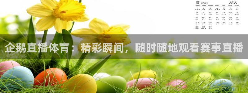 企鹅直播体育：精彩瞬间，随时随地观看赛事直播