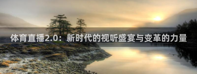 体育直播2.0：新时代的视听盛宴与变革的力量