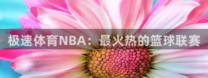 极速体育NBA：最火热的篮球联赛