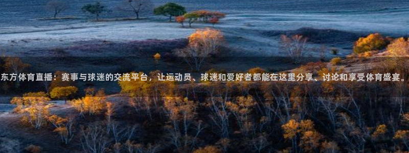 东方体育直播：赛事与球迷的交流平台，让运动员、球迷和爱好者都能在这里分享、讨论和享受体育盛宴。