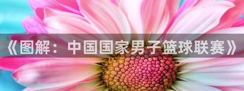 《图解：中国国家男子篮球联赛》