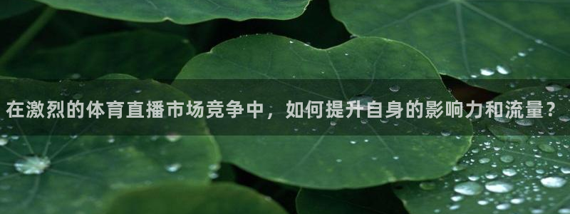 在激烈的体育直播市场竞争中，如何提升自身的影响力和流量？
