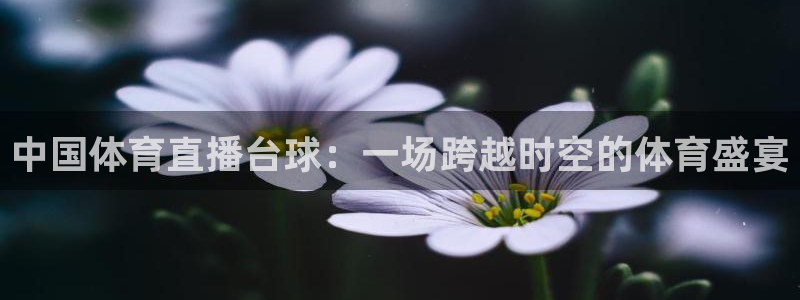中国体育直播台球：一场跨越时空的体育盛宴