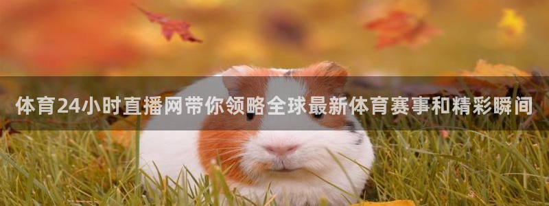 体育24小时直播网带你领略全球最新体育赛事和精彩瞬间