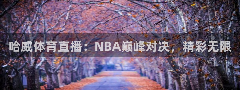 哈威体育直播：NBA巅峰对决，精彩无限