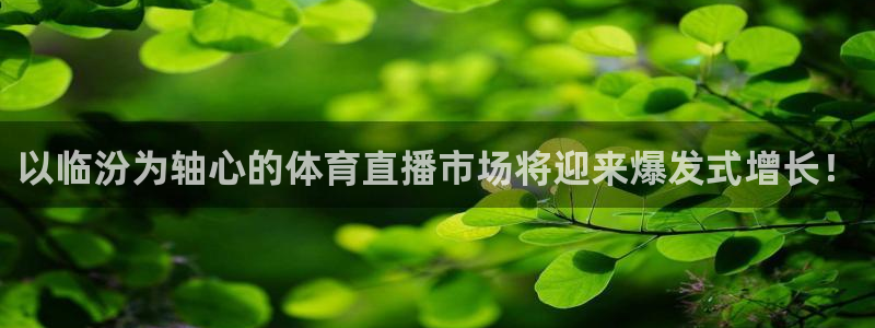 以临汾为轴心的体育直播市场将迎来爆发式增长！