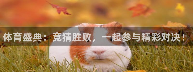 体育盛典：竞猜胜败，一起参与精彩对决！