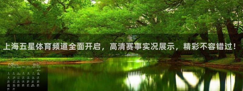 上海五星体育频道全面开启，高清赛事实况展示，精彩不容错过！