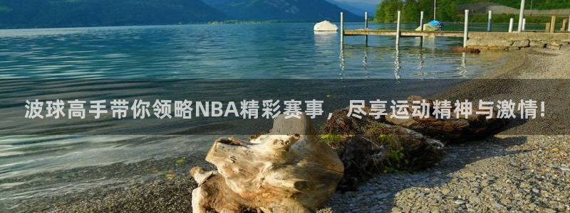 波球高手带你领略NBA精彩赛事，尽享运动精神与激情!