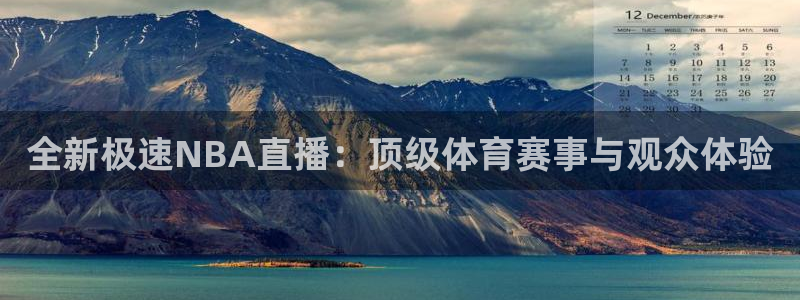 全新极速NBA直播：顶级体育赛事与观众体验