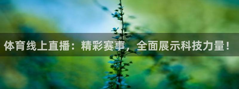 体育线上直播：精彩赛事，全面展示科技力量！