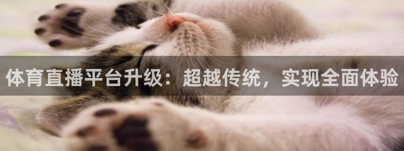 体育直播平台升级：超越传统，实现全面体验
