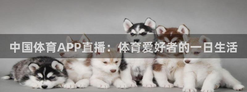 中国体育APP直播：体育爱好者的一日生活