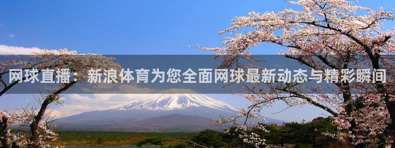 网球直播：新浪体育为您全面网球最新动态与精彩瞬间