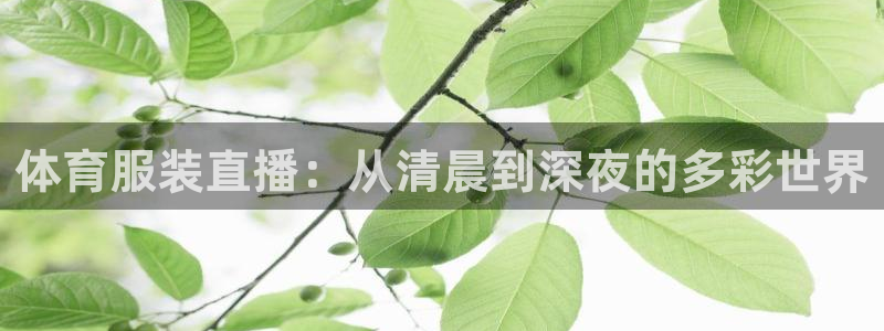 体育服装直播：从清晨到深夜的多彩世界