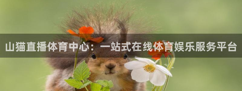 山猫直播体育中心：一站式在线体育娱乐服务平台