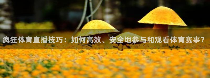 疯狂体育直播技巧：如何高效、安全地参与和观看体育赛事？