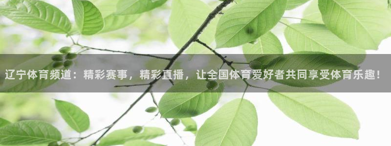 辽宁体育频道：精彩赛事，精彩直播，让全国体育爱好者共同享受体育乐趣！