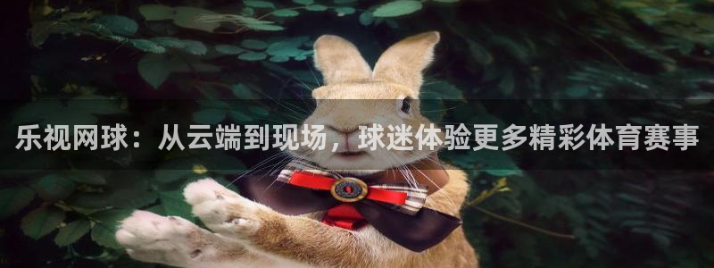乐视网球：从云端到现场，球迷体验更多精彩体育赛事