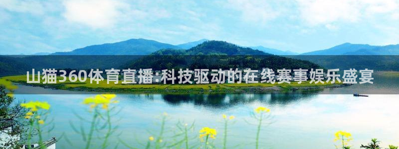 山猫360体育直播:科技驱动的在线赛事娱乐盛宴
