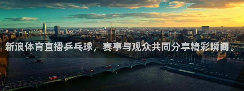 新浪体育直播乒乓球，赛事与观众共同分享精彩瞬间。