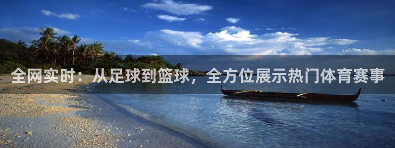 全网实时：从足球到篮球，全方位展示热门体育赛事
