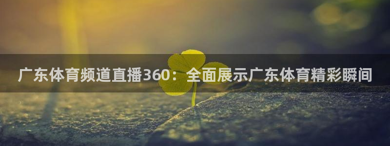 广东体育频道直播360：全面展示广东体育精彩瞬间