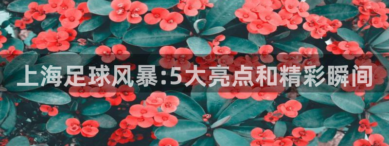 上海足球风暴:5大亮点和精彩瞬间