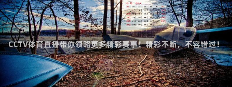 CCTV体育直播带你领略更多精彩赛事！精彩不断，不容错过！