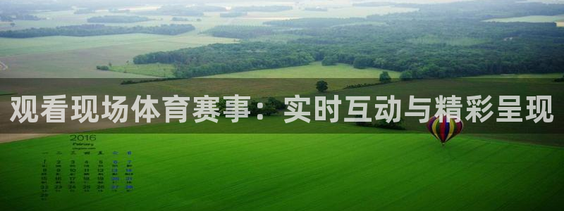 观看现场体育赛事：实时互动与精彩呈现
