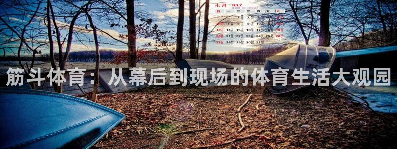 筋斗体育：从幕后到现场的体育生活大观园