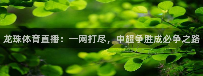 龙珠体育直播：一网打尽，中超争胜成必争之路