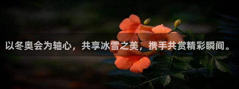 以冬奥会为轴心，共享冰雪之美，携手共赏精彩瞬间。